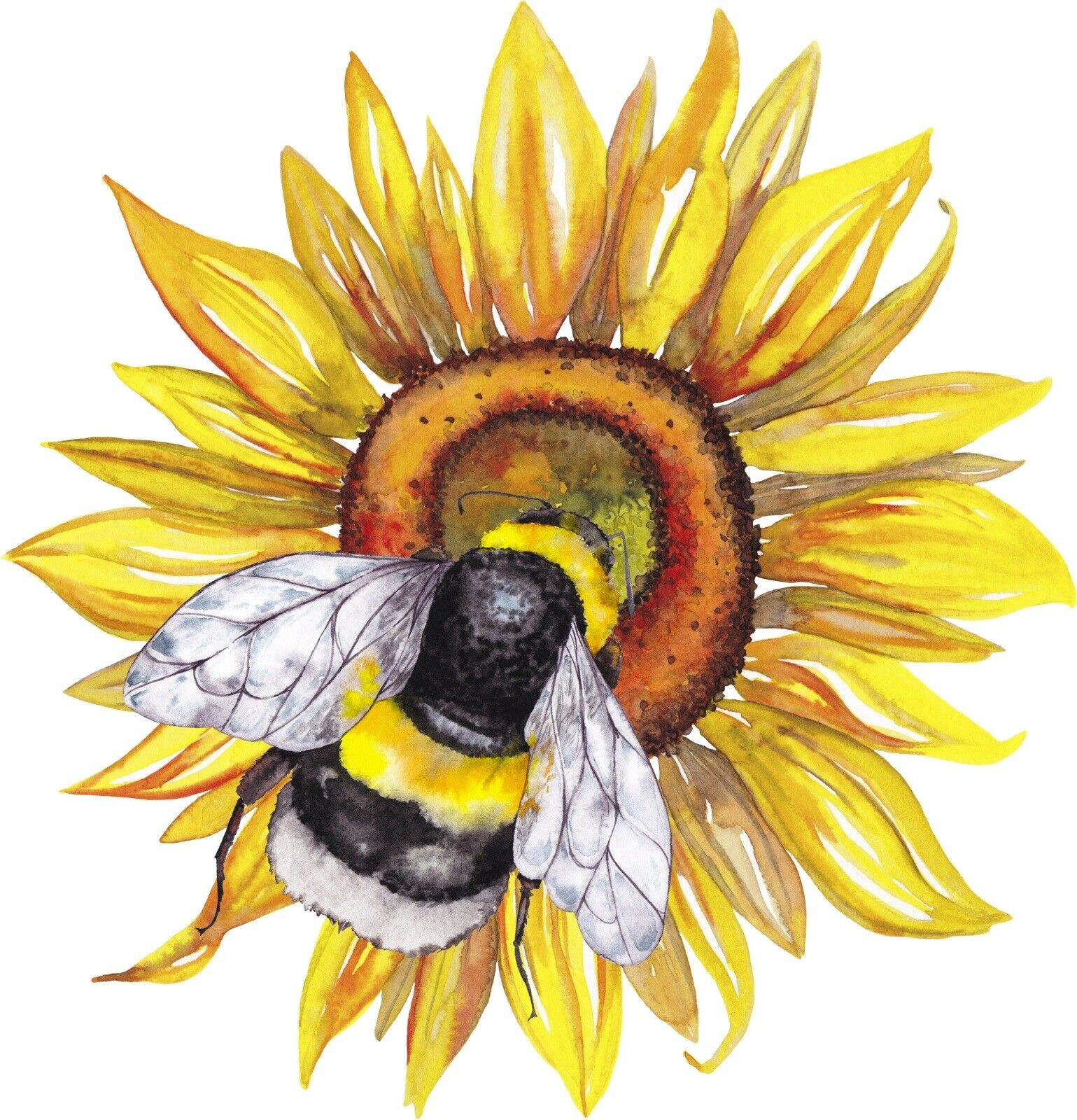 Honey Bee Sunflower Sticker Decal