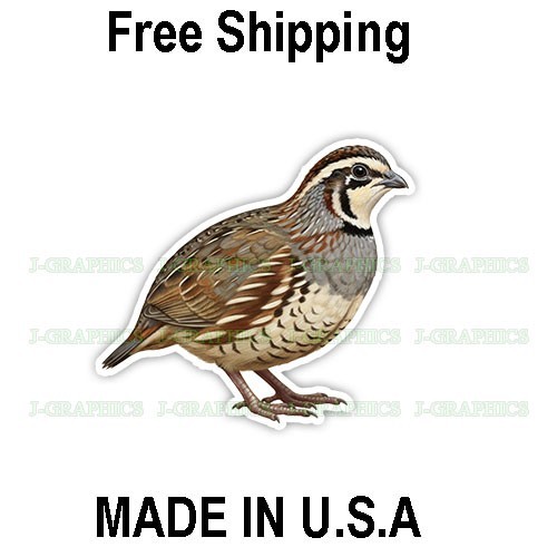 Bobwhite Quail Bird Vinyl Sticker Decal A