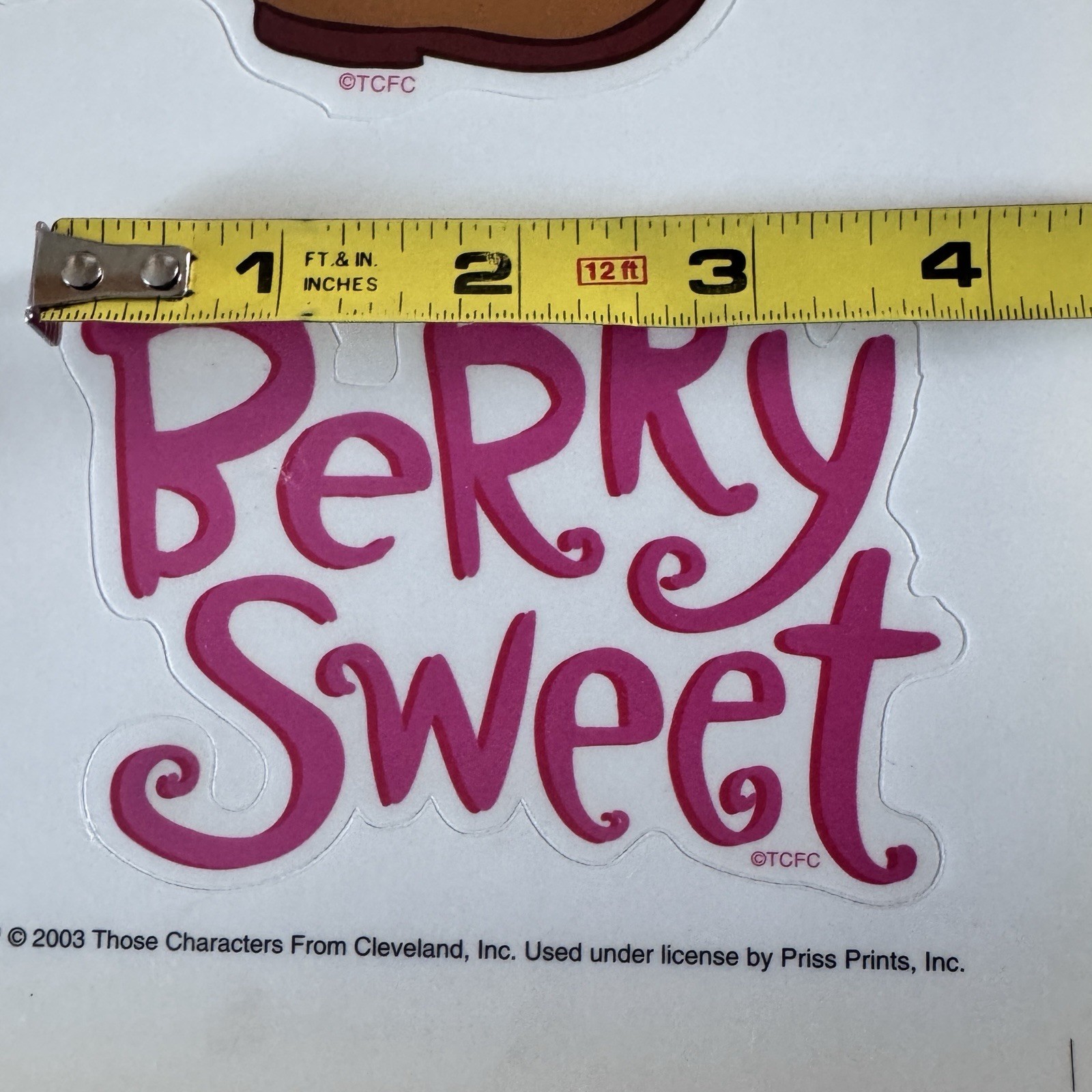 STRAWBERRY SHORTCAKE CUSTARD Cat 22 Jumbo Stick-ups wall stickers MURAL decals