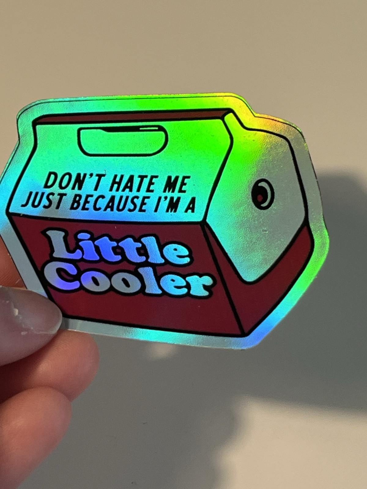 Don't Hate Me Little Cooler 3 Inch Funny Humor Holographic Waterproof Sticker