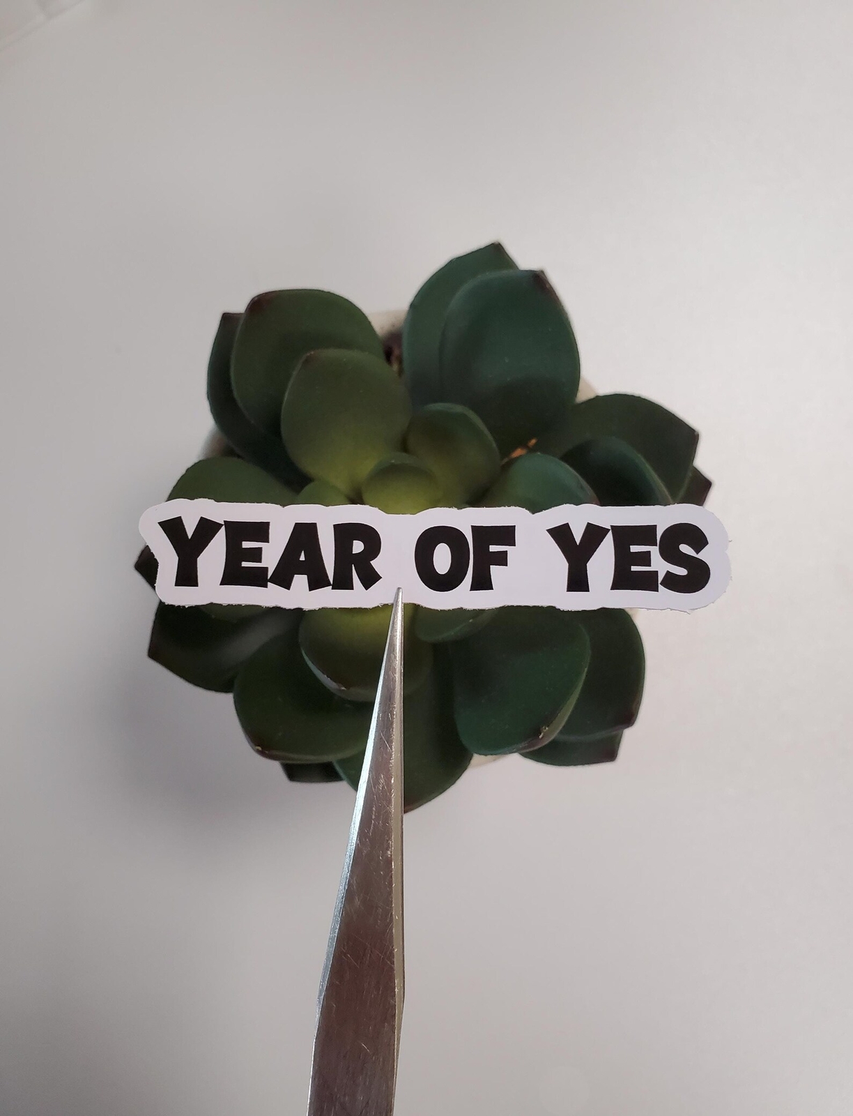 Year of Yes Text Sticker | Glossy Vinyl