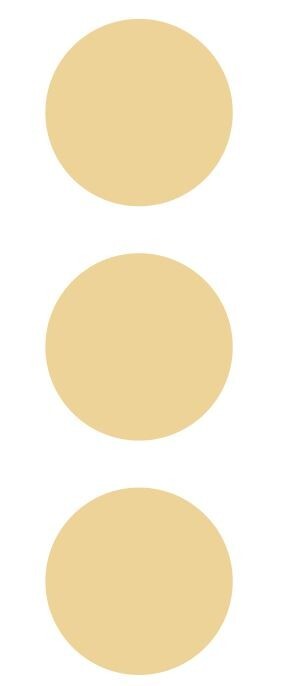 3" Beige Tan Ivory Round Label Dots Stickers Color Coding Inventory 3 Inch Dot