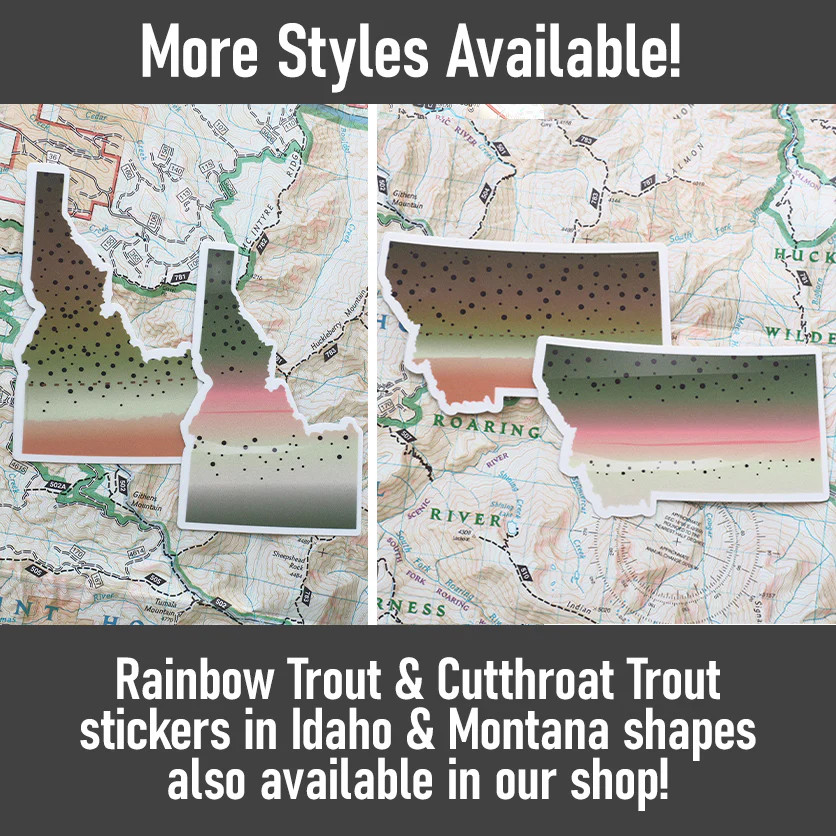 Rainbow Trout Oregon Fishing Sticker