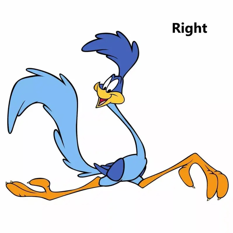 THE ROAD RUNNER DECAL STICKER 3M USA MADE TRUCK HELMET VEHICLE WINDOW WALL CAR