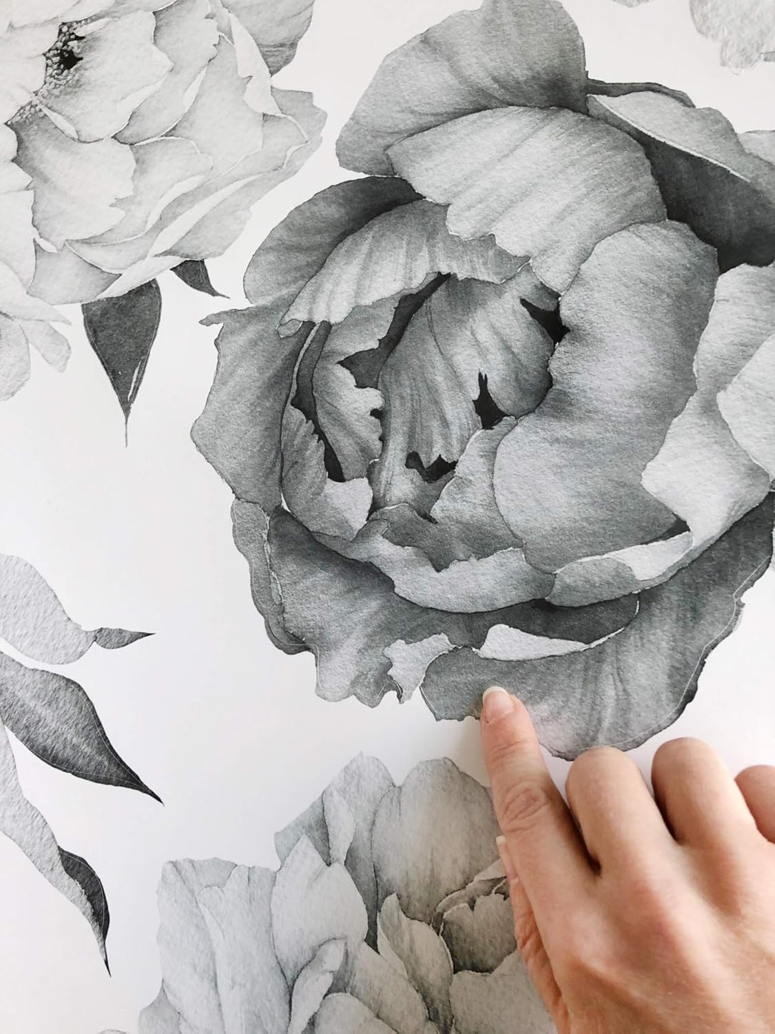 Peony Watercolor Wall Decals (Black and White Watercolor) – Flowers Decals for W