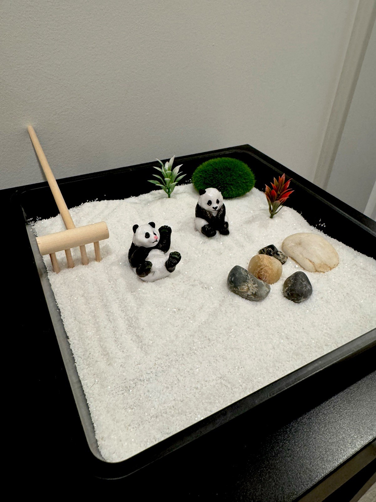 Panda Zen Garden 7 Inch by 7 Inch – with 2 Random Pandas Style Design New Gift