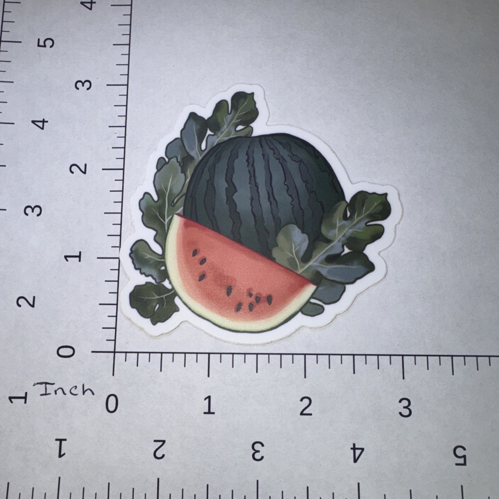 Watermelon Fruit Garden Sticker 3" Water Bottle Laptop Locker Phones Helmets
