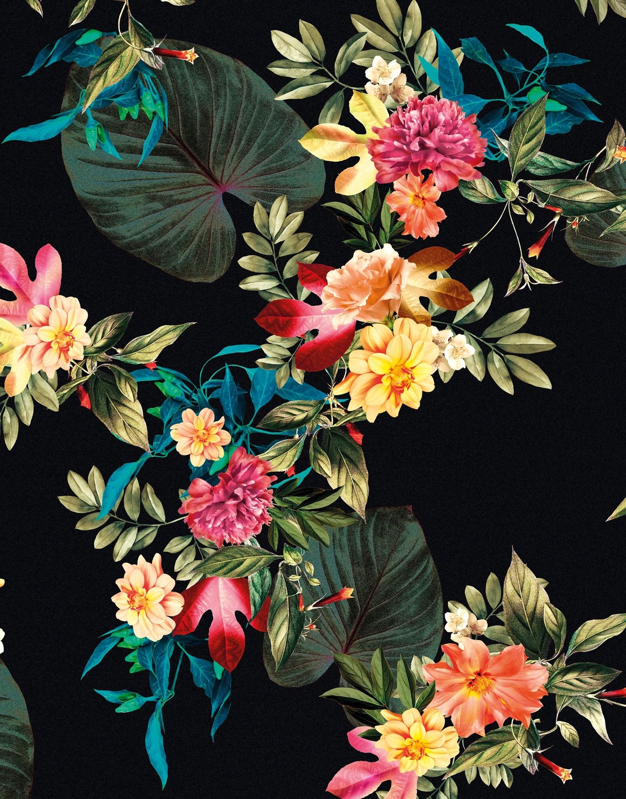 Tropical Flower Wall Mural. Paradise Botanical Flowers and Leave Black Backgroun