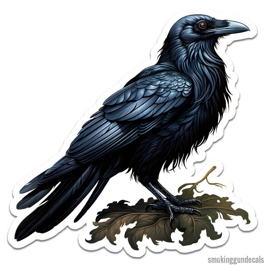 Raven Crow Blackbird, Vinyl Decal Sticker, Indoor Outdoor, 3 Sizes, #12065