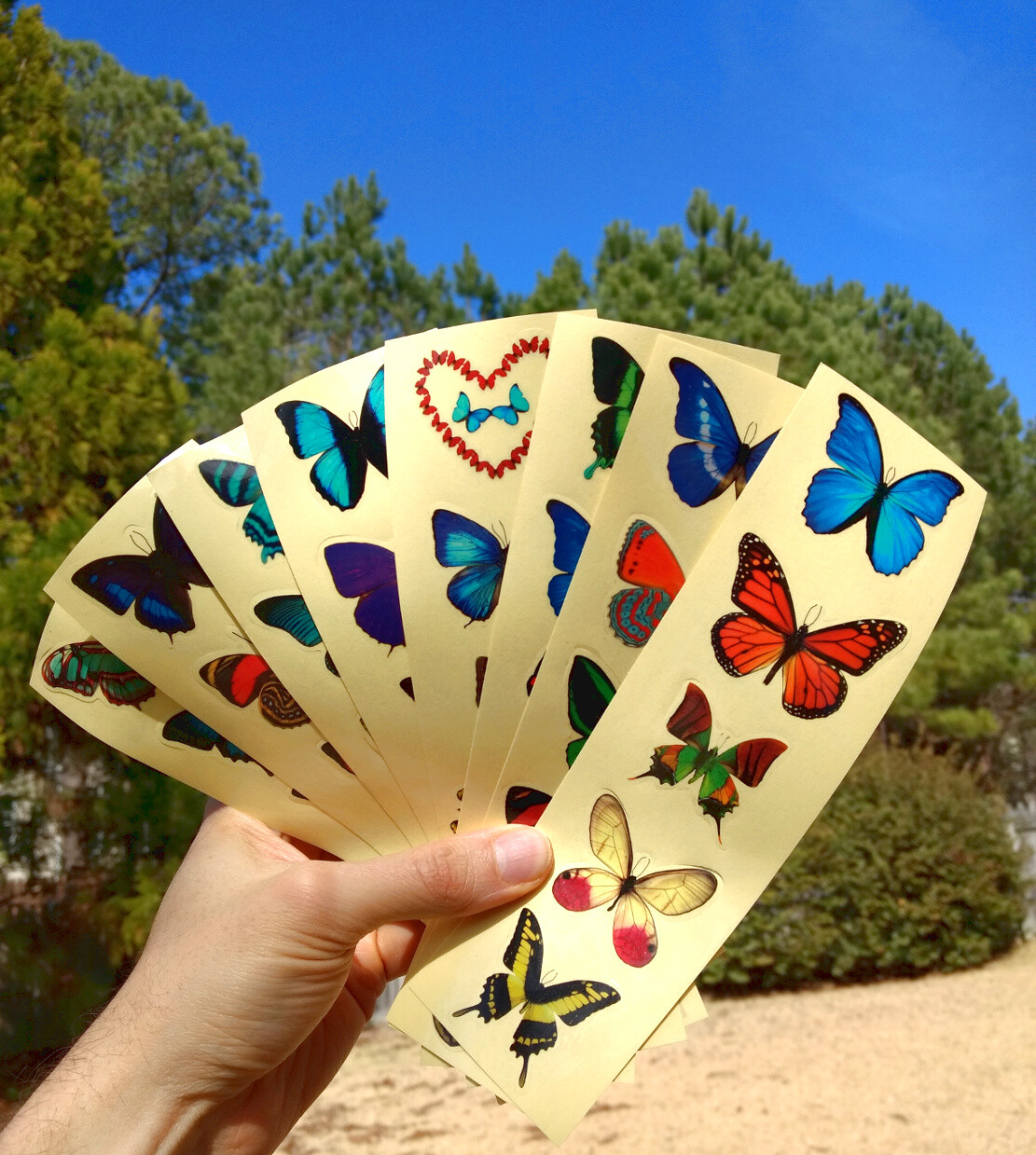 Premium Butterfly Stickers, Decals – for Cards, Envelopes, Laptops, Windows