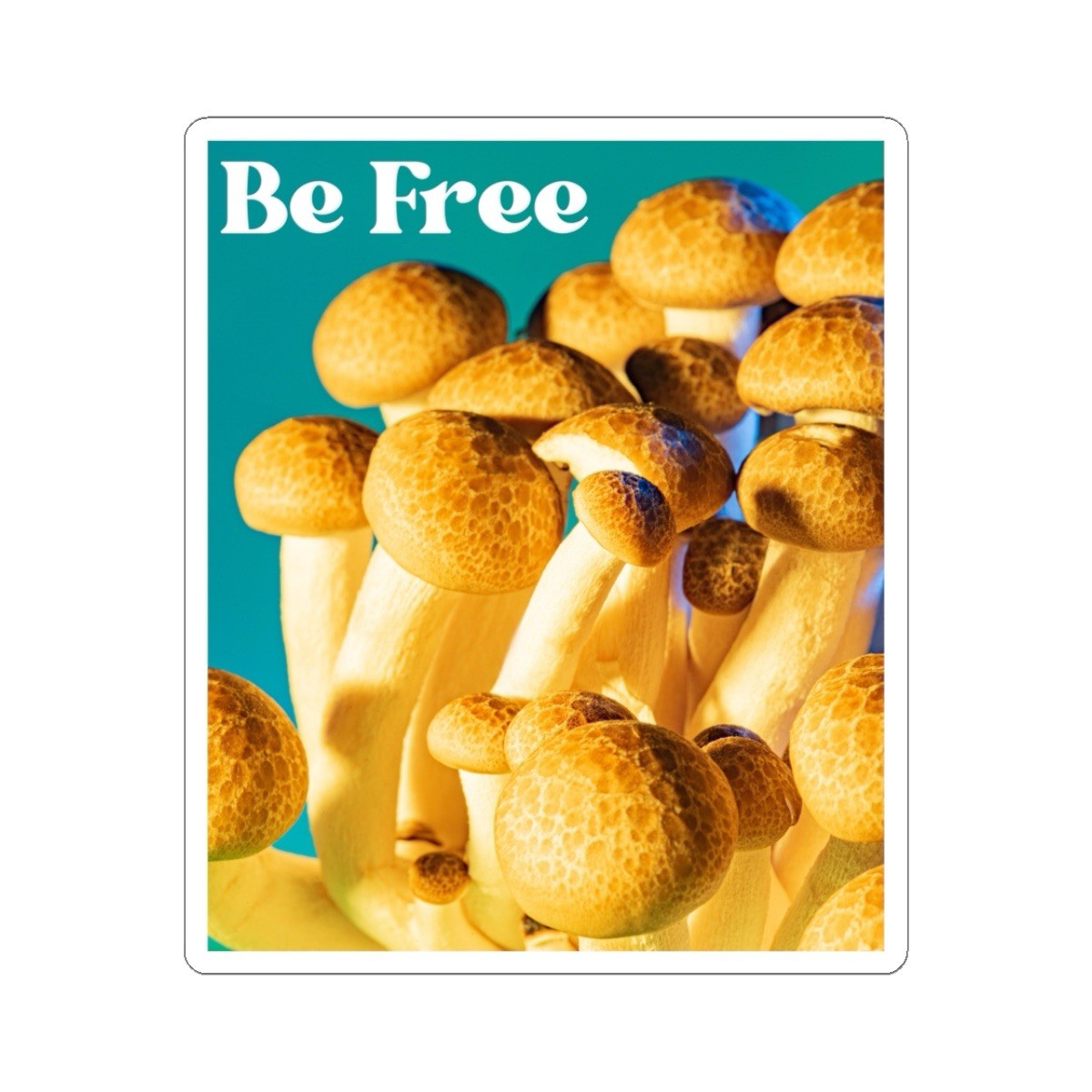 Trippy Mushroom Sticker Pack | Perfect for Water Bottle Phone Case Laptop | 5 PK