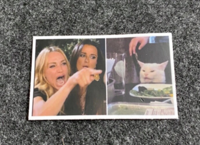 Lady Yelling at Smudge White Cat Meme Sticker