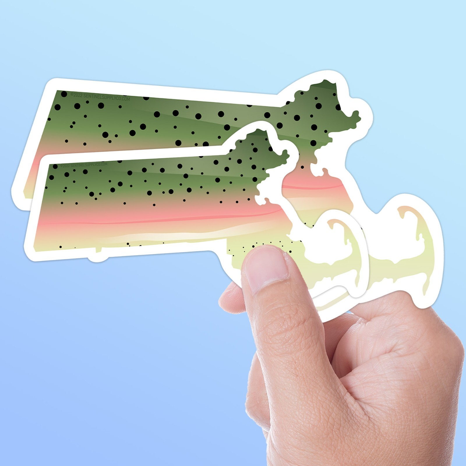 Rainbow Trout Massachusetts Fishing Sticker