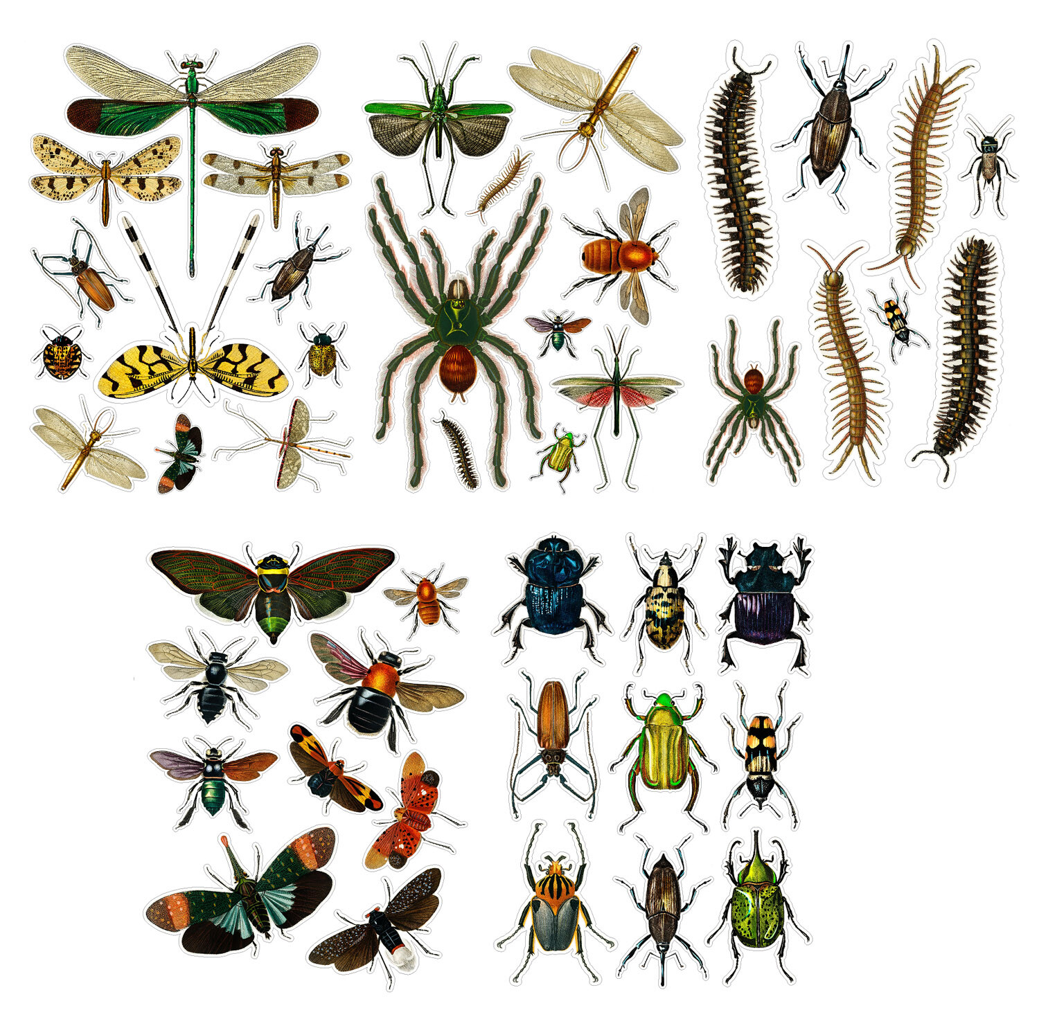 Vinyl Wall Stickers/VINTAGE INSECTS AND BUGS/Waterproof, Outdoor, Wall-Safe