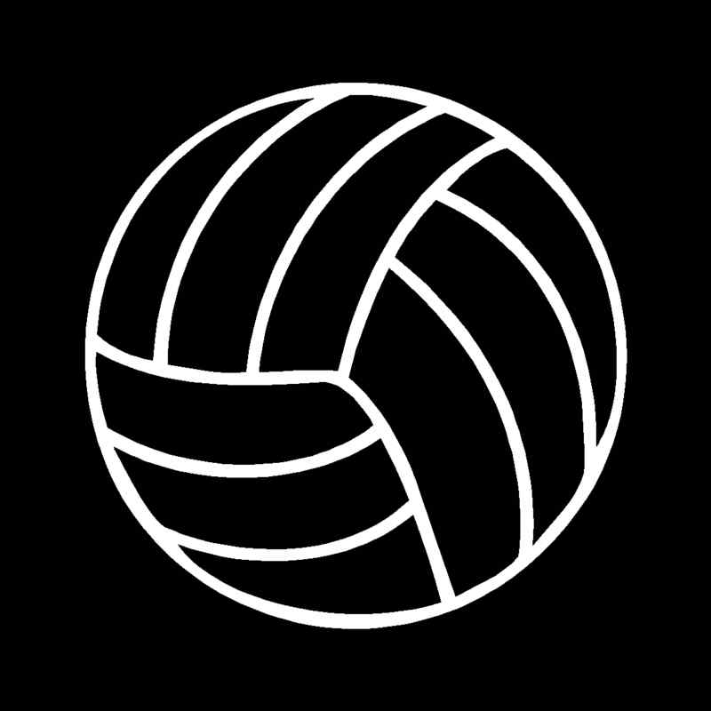 VOLLEYBALL Vinyl Decal 5" x 5" (11 Colors) SD