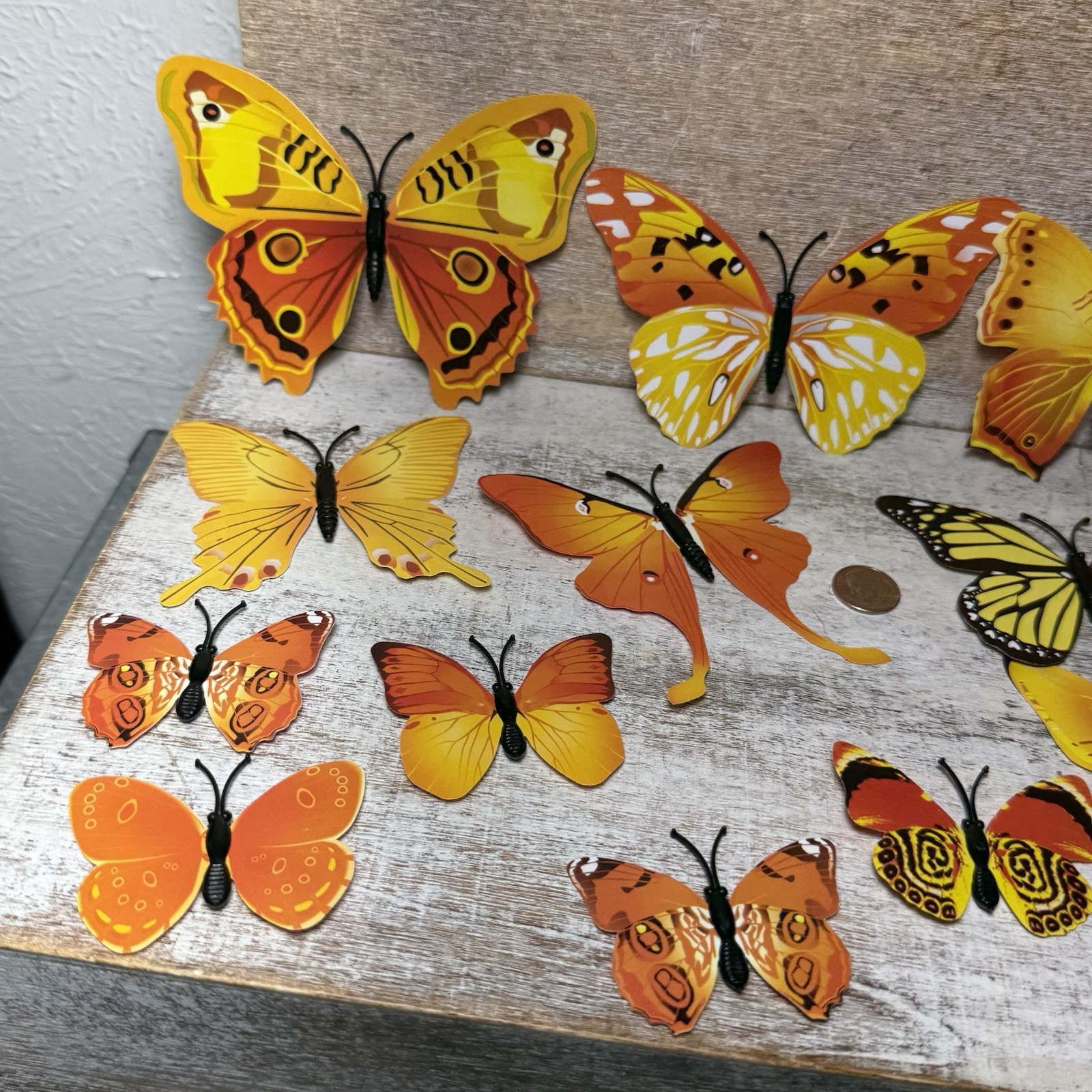 Lot of 12 3D Realistic Butterfly Wall Stickers Different Size, Shapes ORANGE New