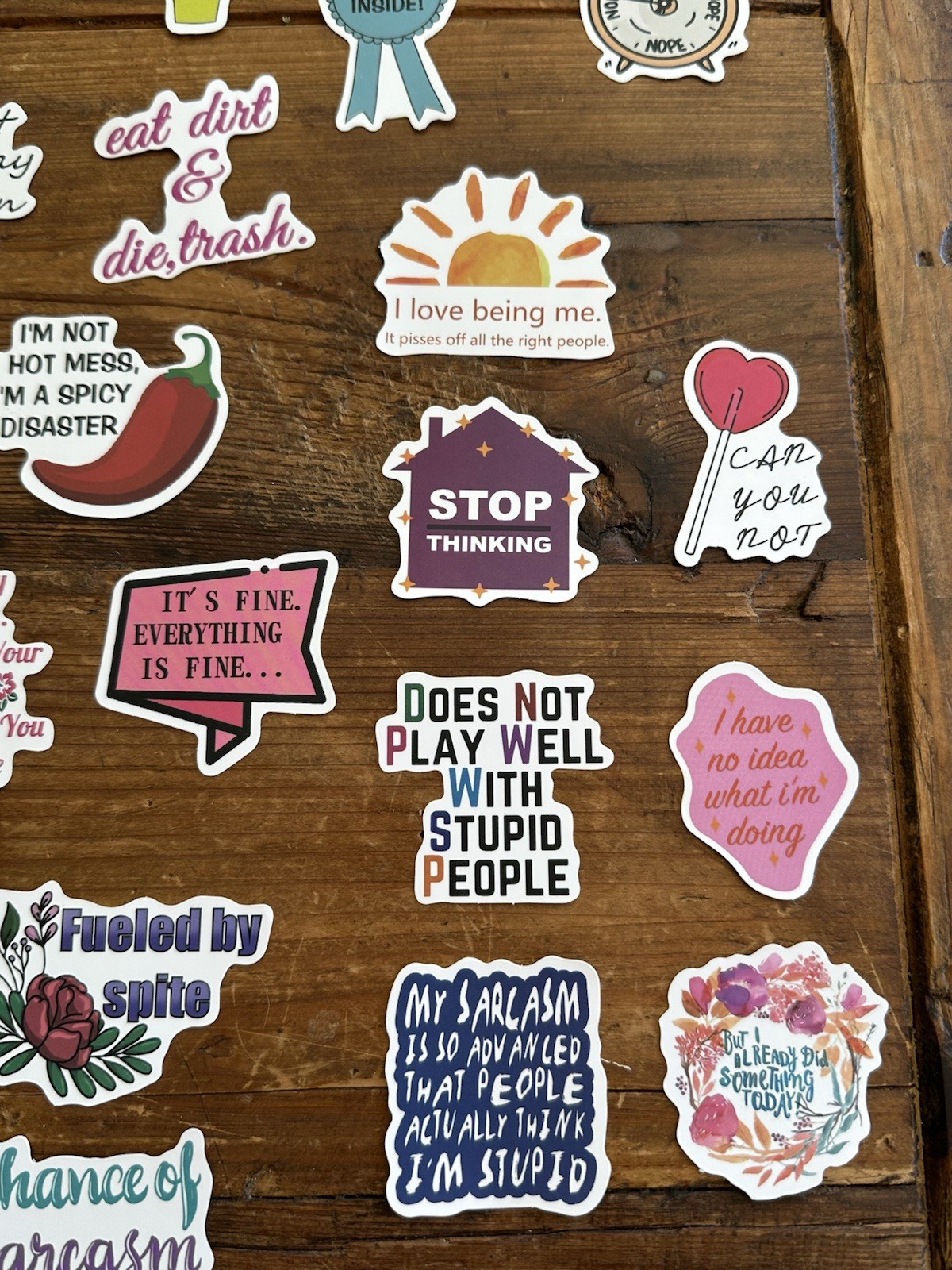 Stickers Pack of 49 Funny Sarcasm Stickers Durable Unique Laptop Bottle Thermos