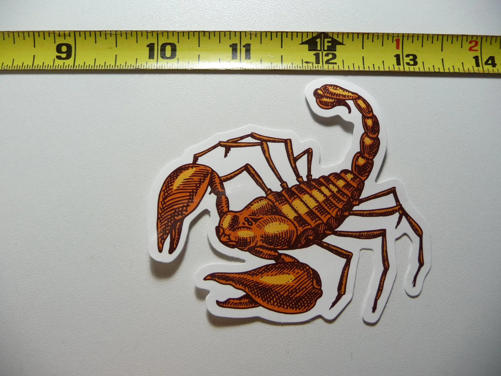 SCORPION ARACHNID SMALL STICKER DECAL FUN FUNNY
