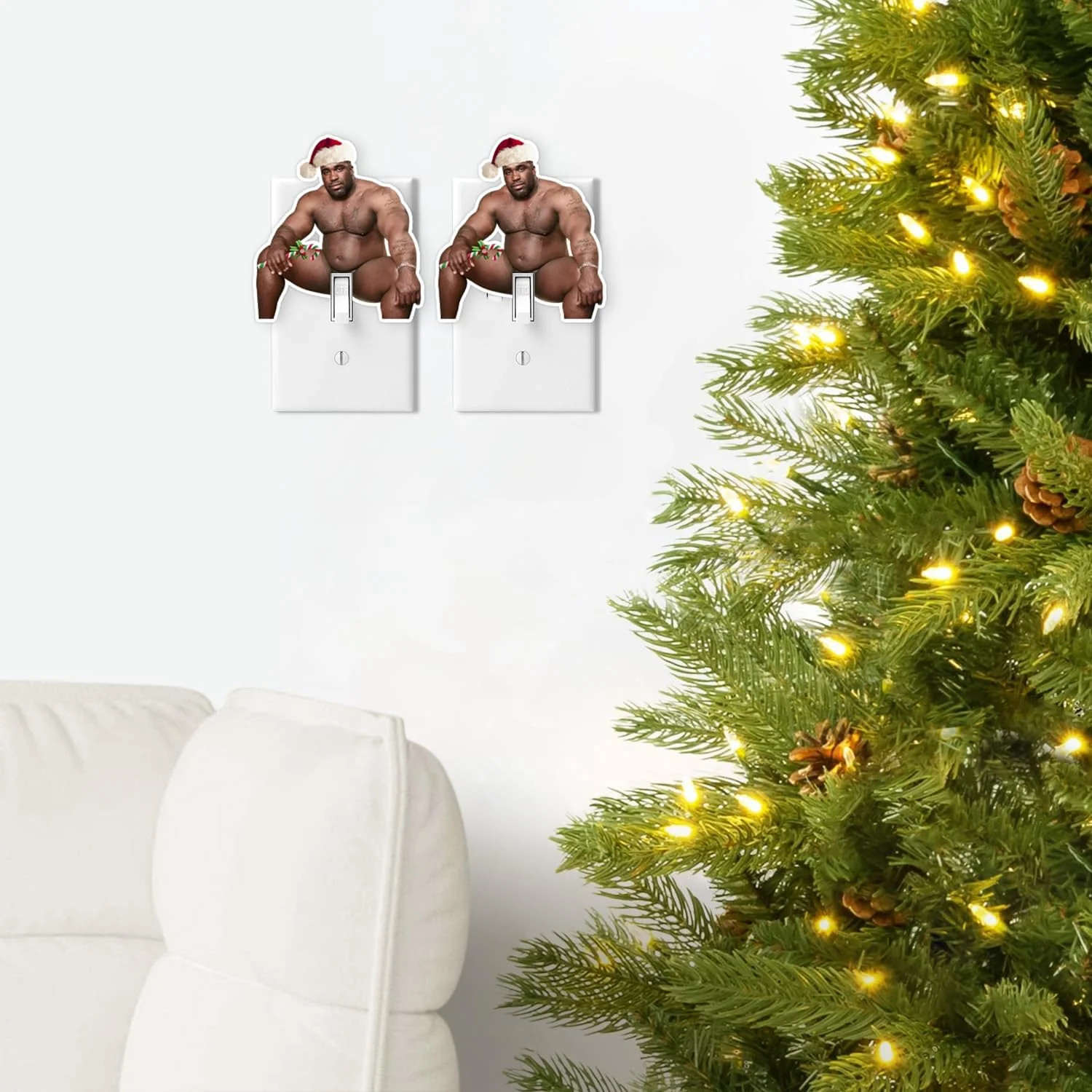 Funny Barry Wood Light Switch Decal Sticker 10 Pack for Wall Mural Prank