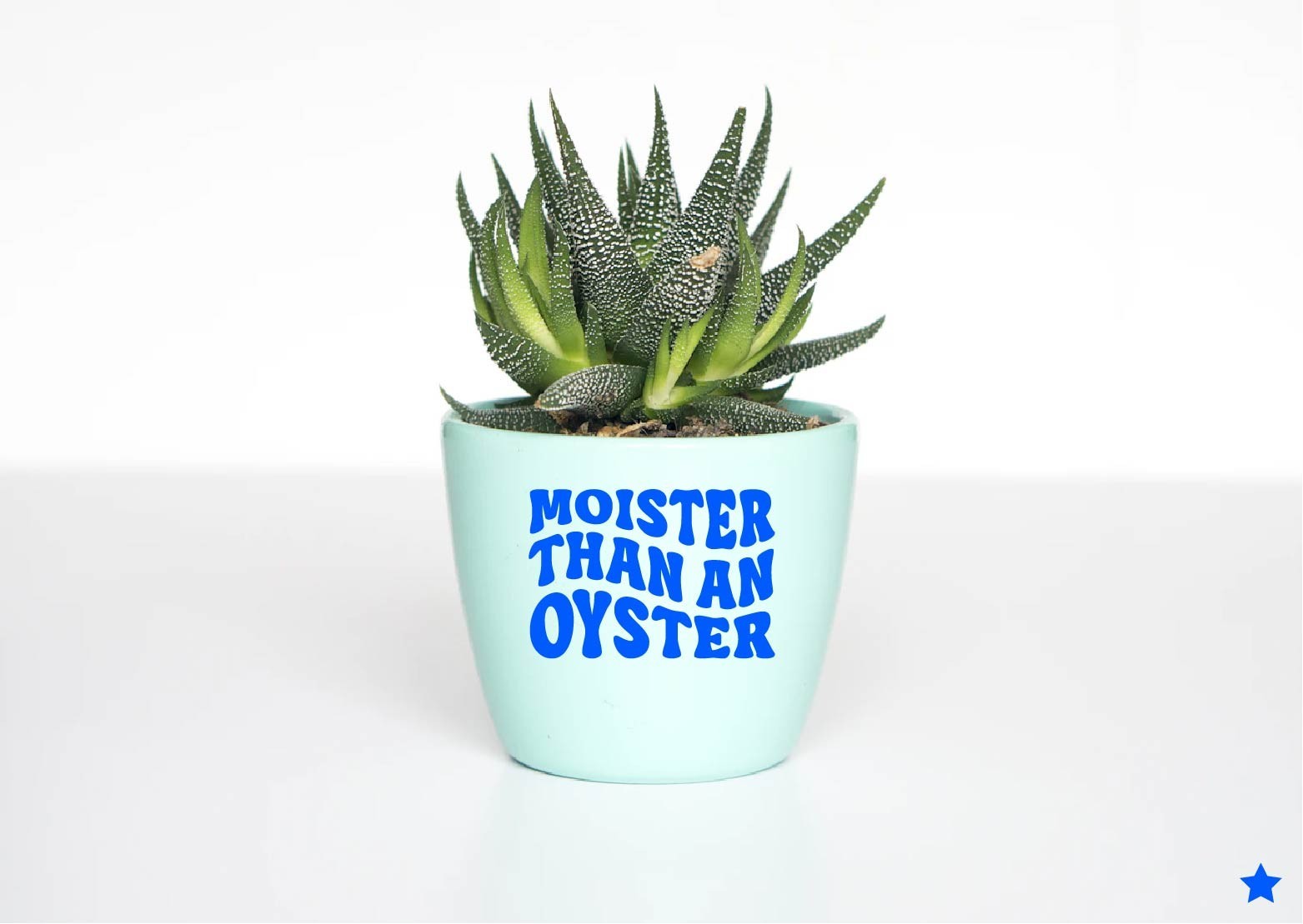 Moister Than an Oyster Decal Sticker Funny Retro Humor Quote Adult Couple Dating