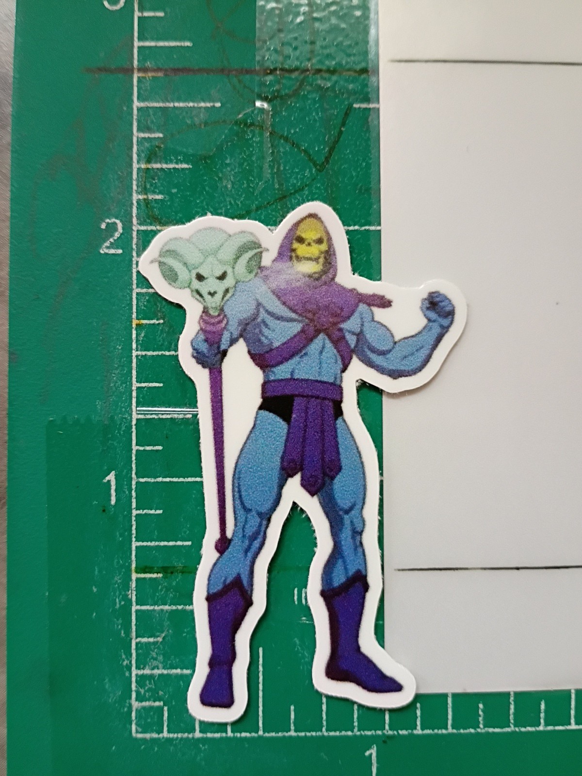 HEMAN STICKER X SKELETOR X 2×1 INCHES, VYNIL HIGH GLOSS STICKER X SMALL SIZE…