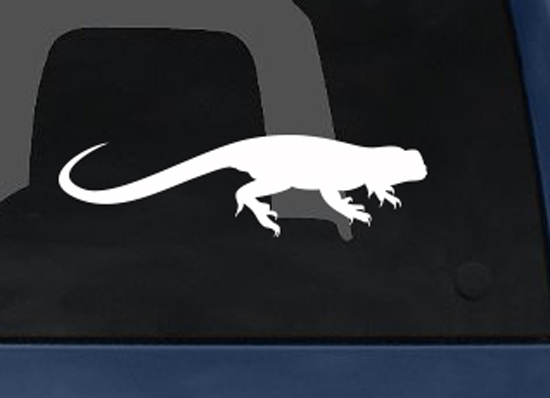 Animals Silhouette Biology – Lizard Anole Version 1 – Car Tablet Vinyl Decal