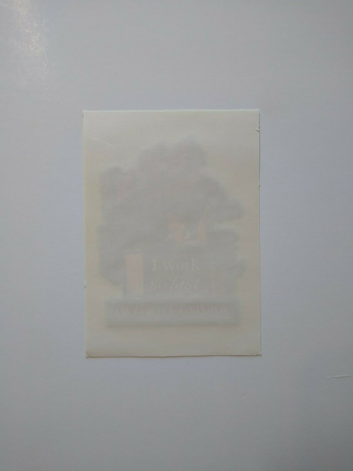 I'm Not Loafing I Work So Fast Screamin Gleamin Glitter Iron-On Decal Donruss