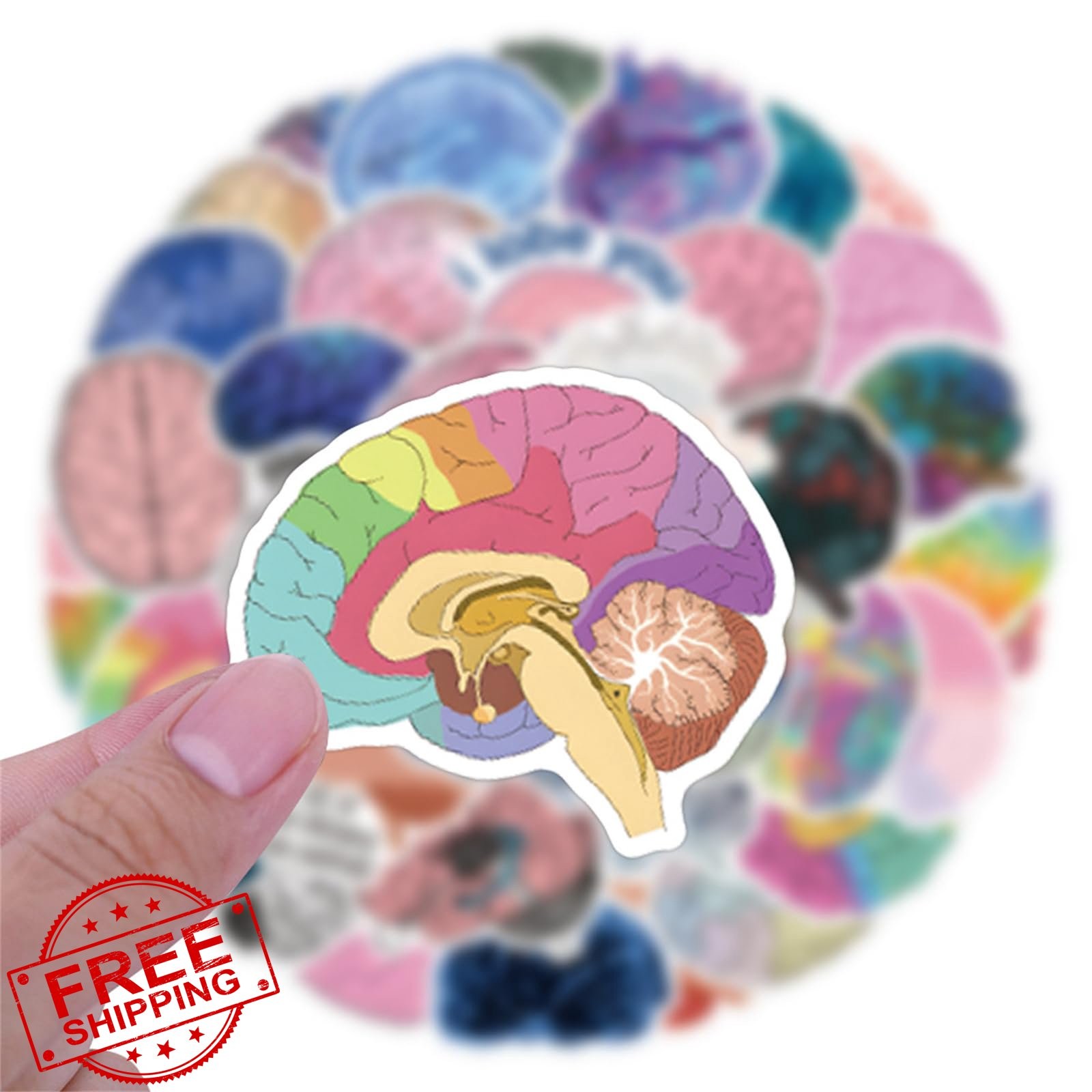 50PCS Brain Stickers Bulk, Cartoon Vinyl Waterproof Decals