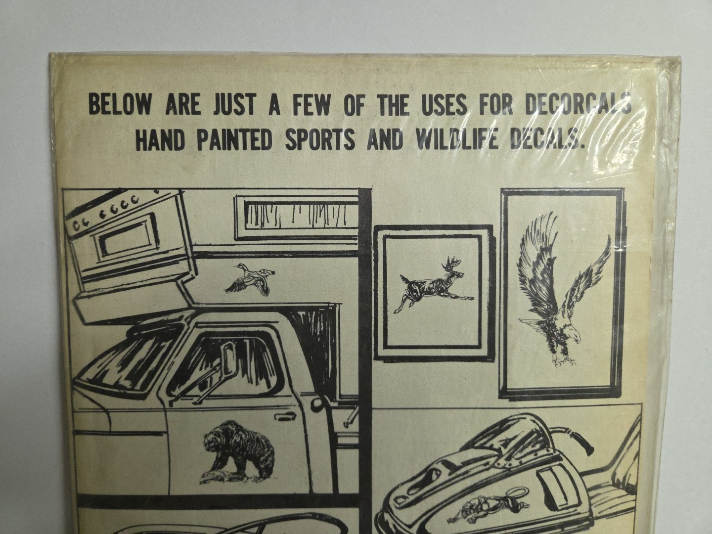 Vintage 1970's NOS Hand Painted Sports And Wildlife Decals W-5 MUSKIE 10×17