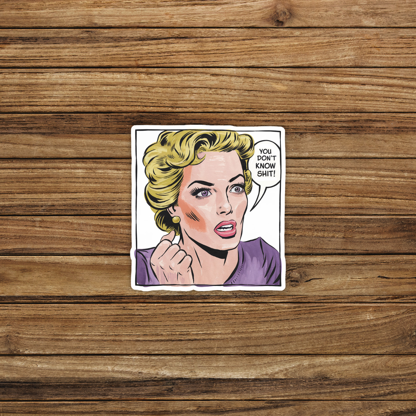 Vintage Pop Art Woman You Don't Know Sh!t Funny Sticker #465
