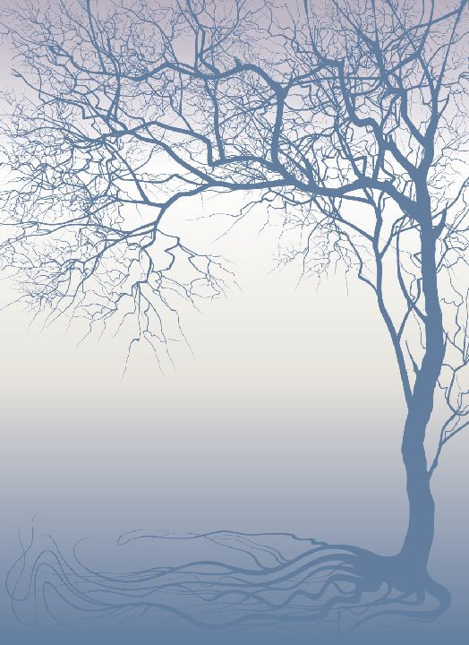 3D Beautiful Bare Tree Picture 29 Wall Paper Wall Print Decal Wall AJ Wall Paper