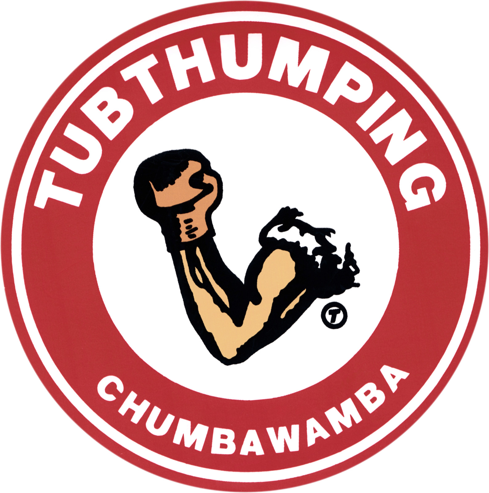 6" Sticker – Chumbawamba VINTAGE 1990s Tubthumping Pop Rock Music Band Gift NEW