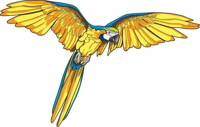 Parrot Sticker Decal
