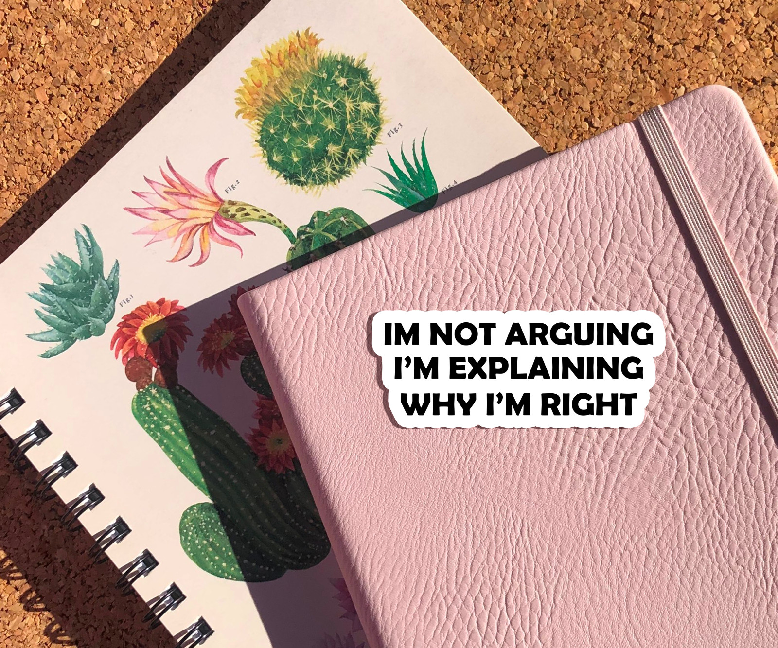 I'm Not Arguing I'm Explaining Why I'm Right Vinyl Sticker – Funny Sarcastic