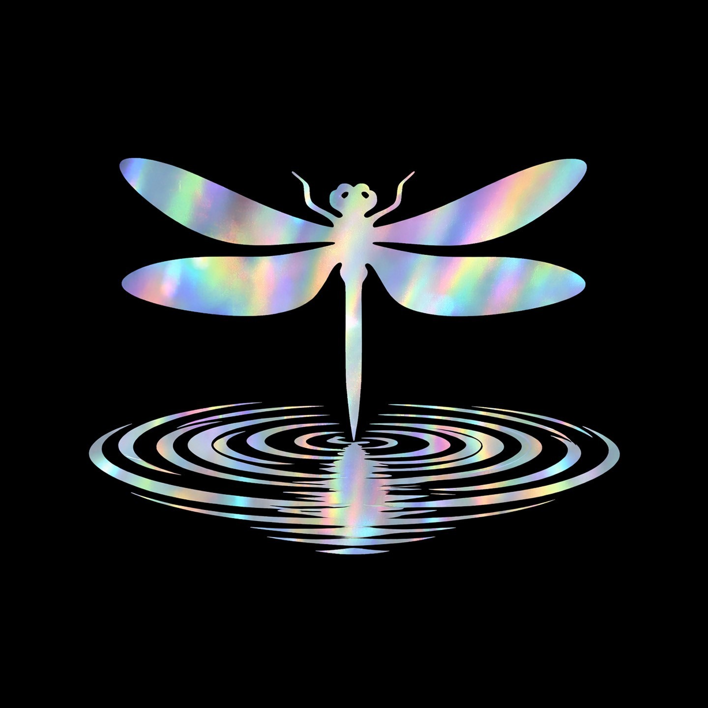 Dragonfly Holographic Car Decal 3in x 3in Waterproof Vinyl Sticker 2 Pack