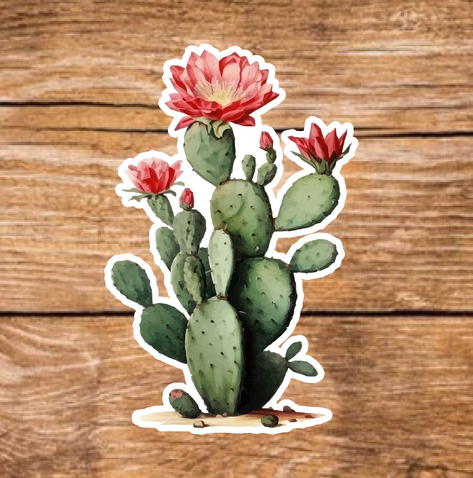 Cactus – 2 Pages (20 Sticker Set) 2in, Waterproof, Glossy Finish Vinyl.