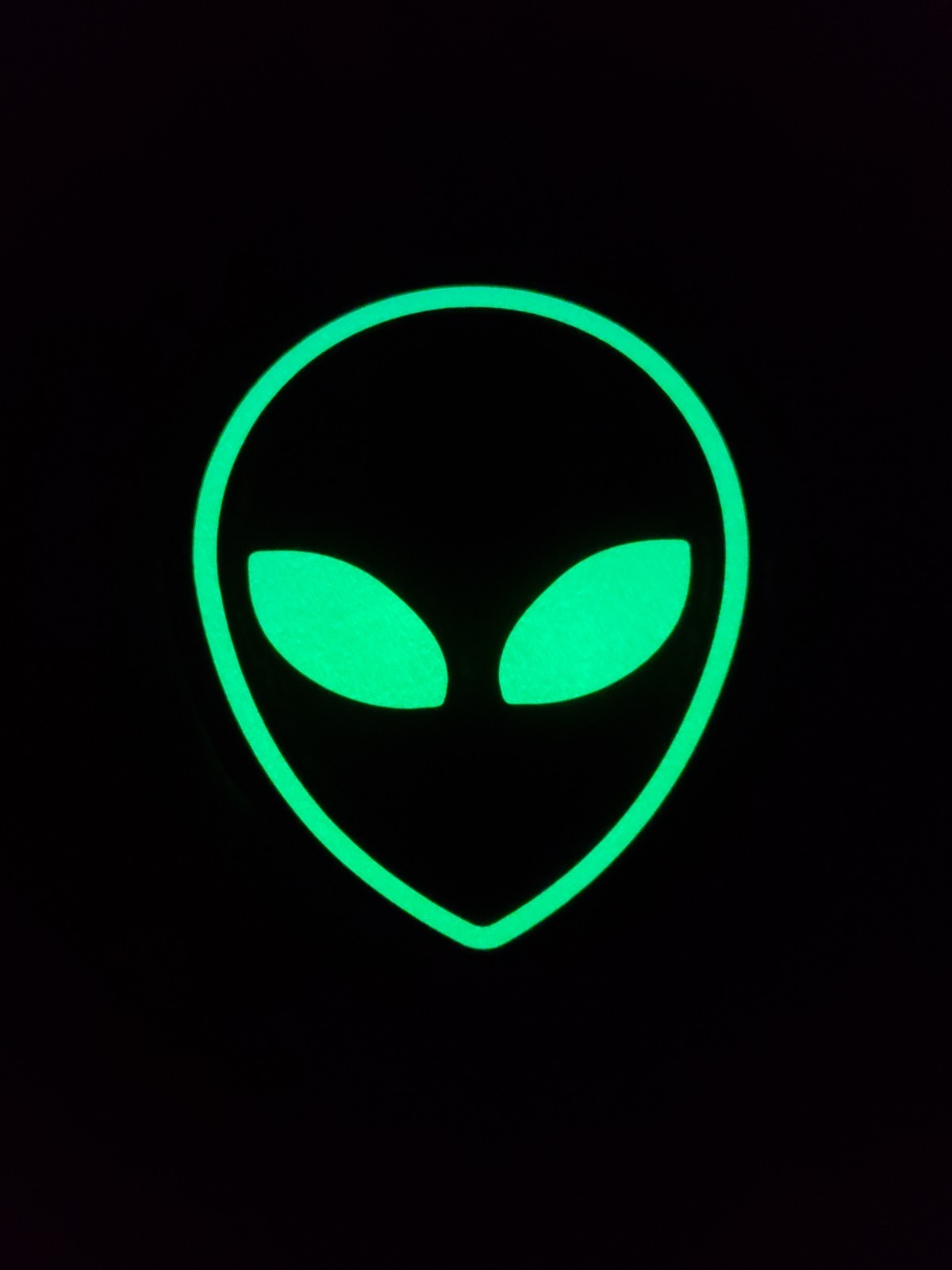 Glow In The Dark Vinyl Decals Alien Head Outline Medium Size Lit Studios New