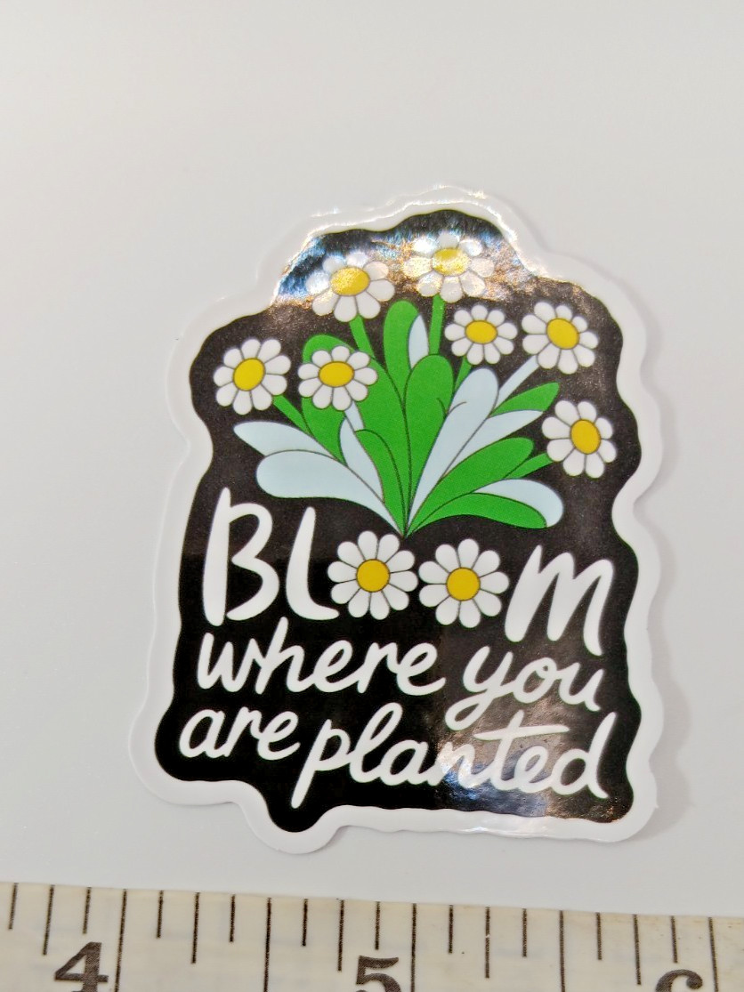 Plants-Garden-Bloom Where You're Planted-Vinyl Sticker-Decal-NWOT-Free Shipping!