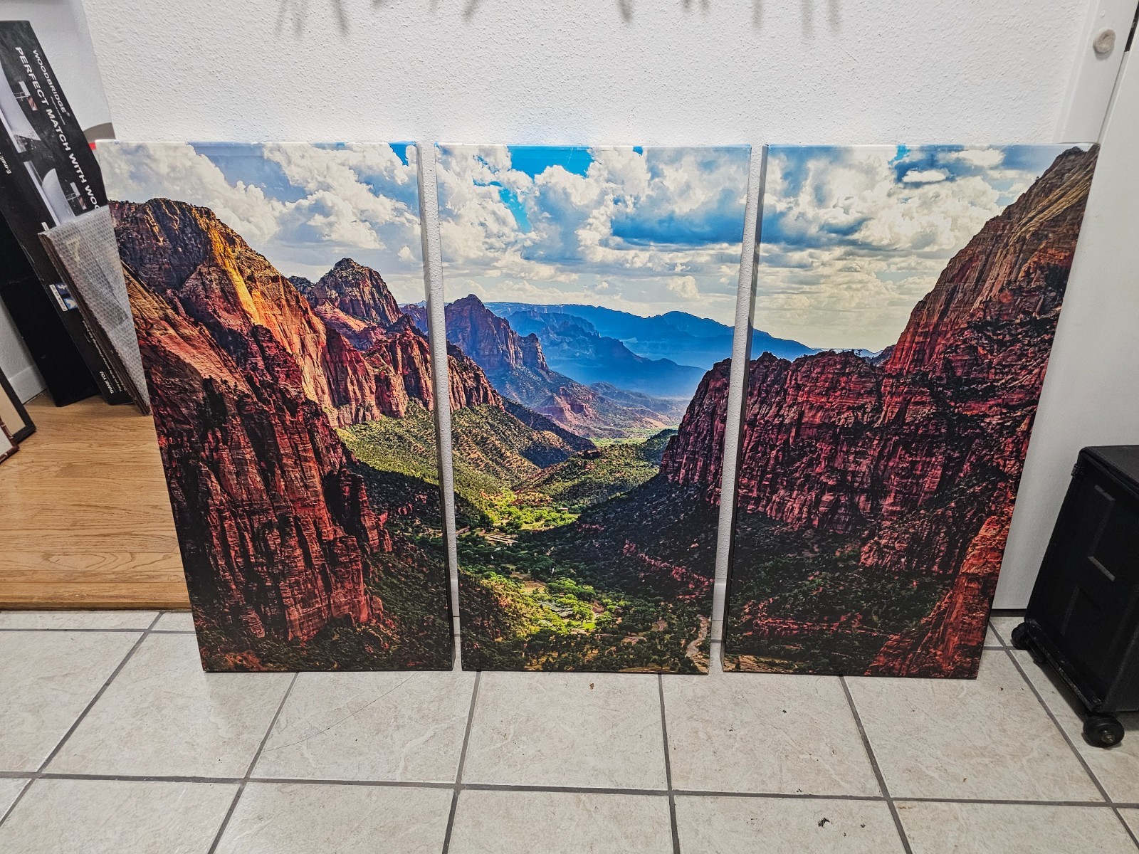 ZION National Park Angels Landing 3 pcs. Canvas Art w/mirrored edges Made in USA