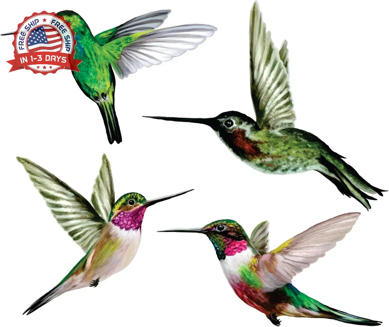 4-Pack Hummingbird Window Clings – Anti-Collision Bird Strike Decals for Glass S