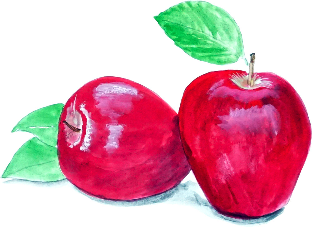 Apples Fruit Vinyl Decal – Auto Car Truck Home SUV RV ATV Boat Cell Cup Window