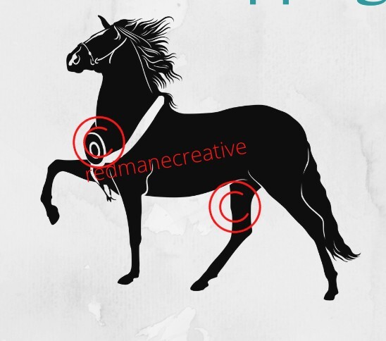 Peruvian Paso Horse Decal, Black 12 inches