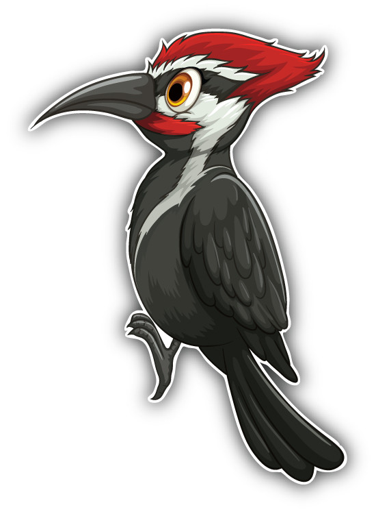 Cute Woodpecker Car Bumper Sticker Decal – "SIZES"