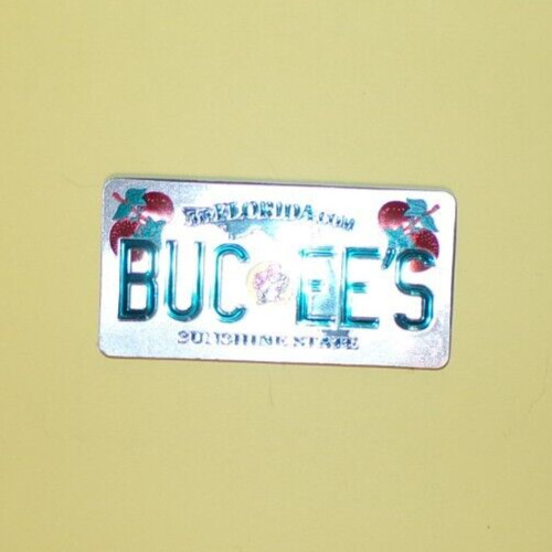 Buc-ee's Florida The Sunshine State DOUBLE-SIDED Magnet Sparkles Daytona Beach