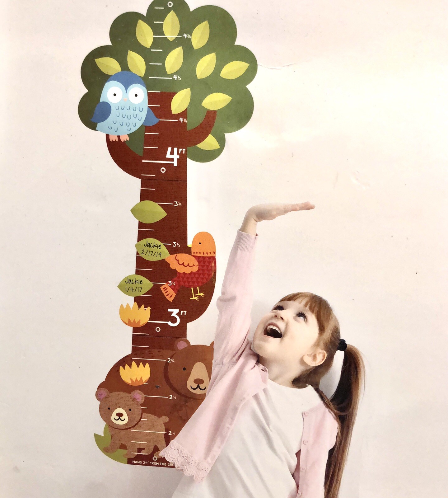 Kids Hanging Growth Chart (Tree With Birds and Animals) Decorative Stickers New