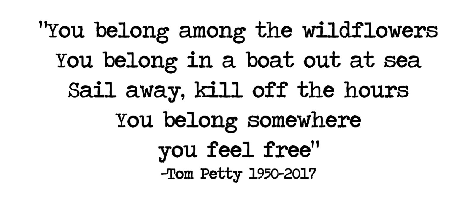 Tom Petty vinyl decal sticker laptop record WILDFLOWERS RIP Full Moon quote