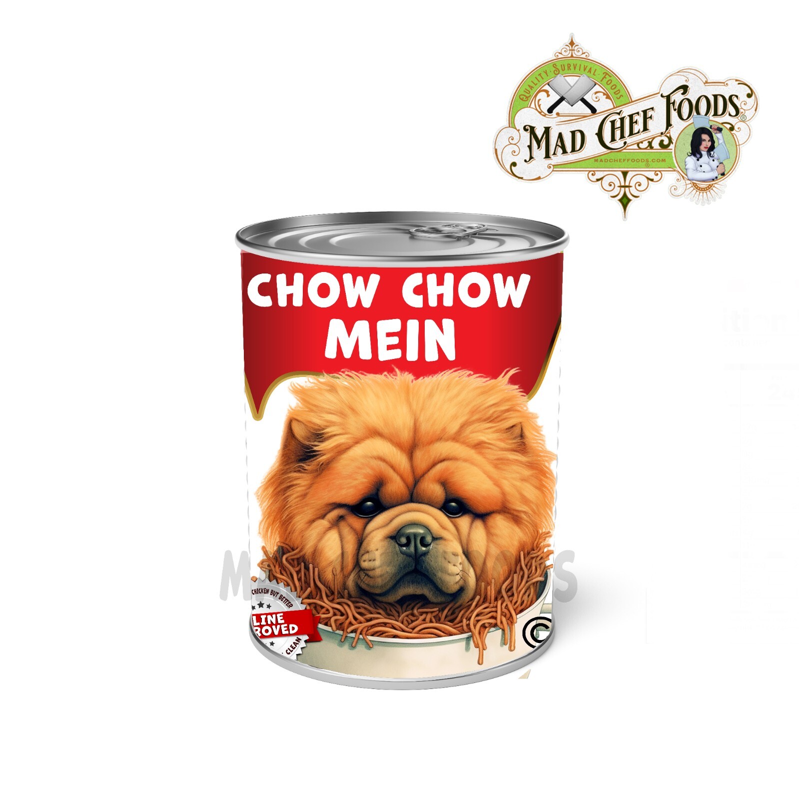 FUNNY CHRISTMAS Chow Chow Mein Can Label STOCKING STUFFER Joke Gag Gift Santa