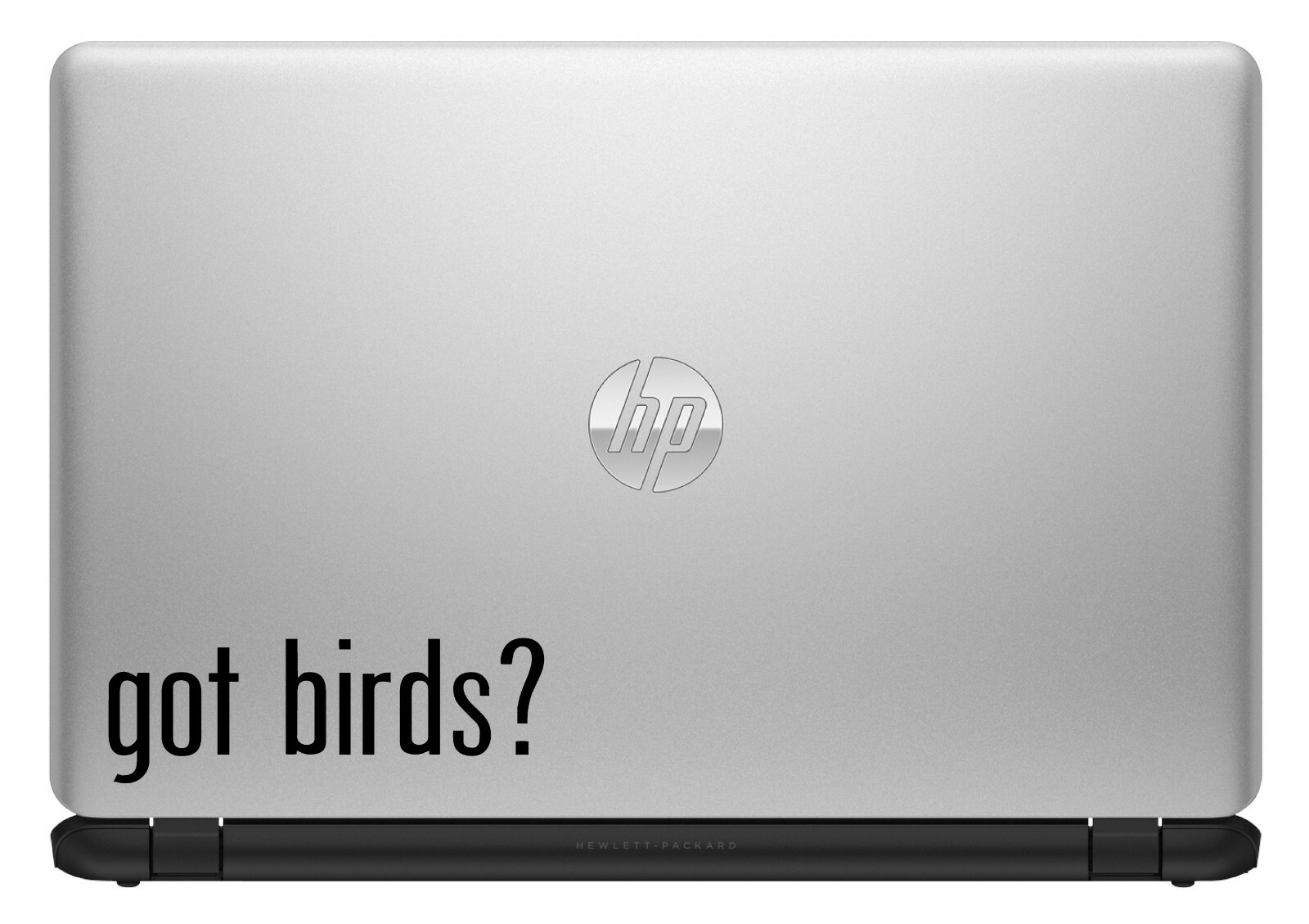 Got Birds? Custom Vinyl Sticker / Decal Bird Watcher, Nature, Wildlife, Animals