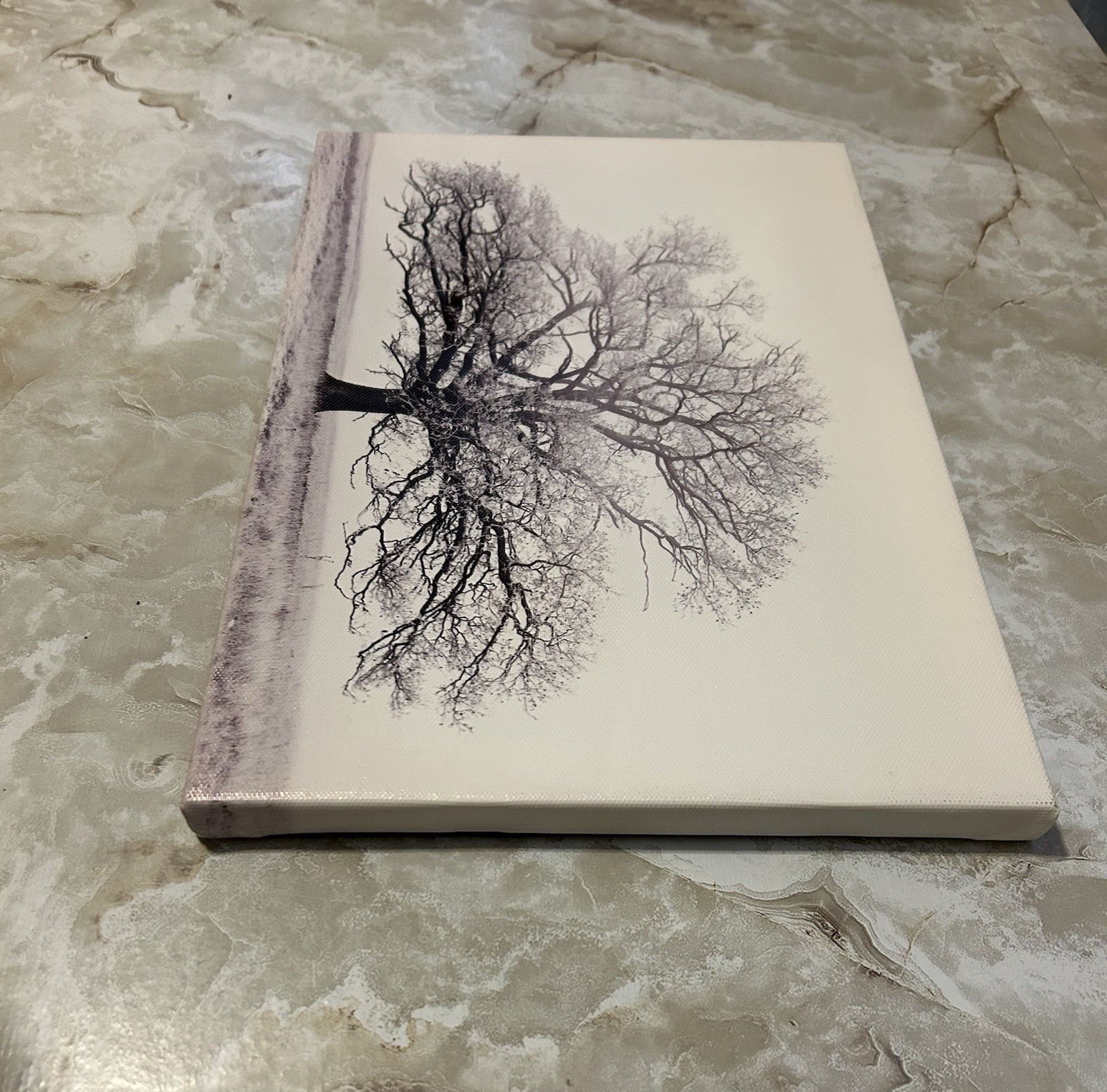 1pc Contemporary Style Grey White Winter Tree Canvas Print Artwork – Home/Office