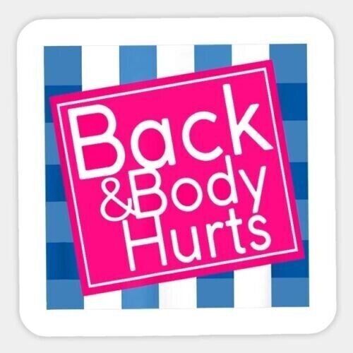 Back and Body Hurts Funny Sticker Decal spoof pun